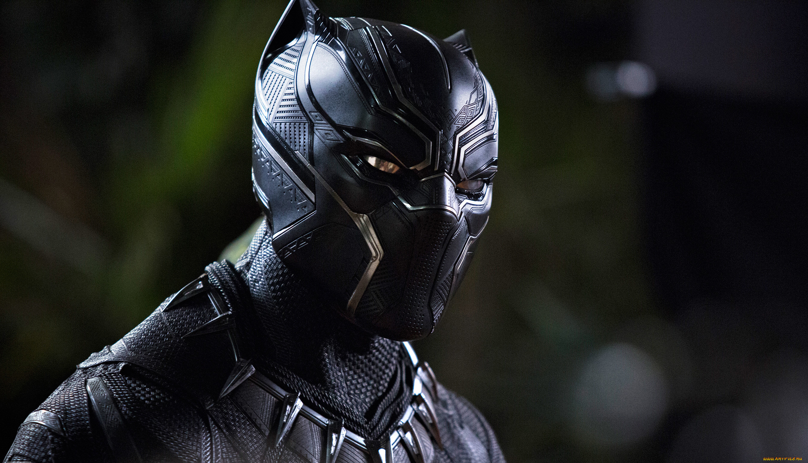  , black panther, black, panther